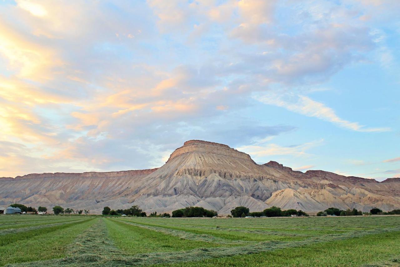 Holiday Inn Express Hotel & Suites Grand Junction By Ihg Bagian luar foto